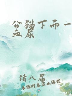 公猫下面一直滴血尿