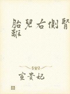 胎儿右侧肾盂分离