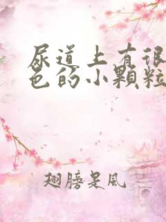 尿道上有很多红色的小颗粒