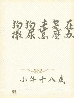 狗狗老是在车轮撒尿怎么办