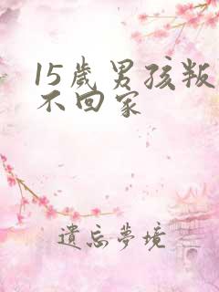 15岁男孩叛逆不回家