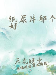 纸尿片那个牌子好