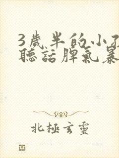 3岁半的小孩不听话脾气暴躁怎么办