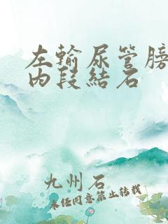 左输尿管膀胱壁内段结石