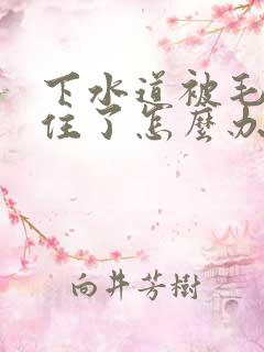 下水道被毛发堵住了怎么办