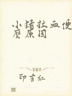 小猪拉血便是什么原因