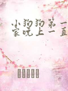 小狗狗第一天到家晚上一直叫