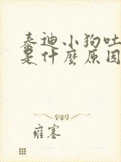 泰迪小狗吐黄水是什么原因