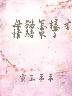 母猫怎样才算发情结束了