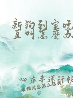 新狗到家晚上一直叫怎么办