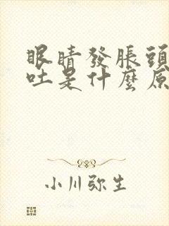 眼睛发胀头晕想吐是什么原因引起的