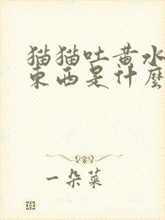 猫猫吐黄水不吃东西是什么原因