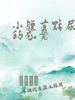 小腹有点尿不尽的感觉