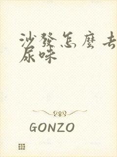 沙发怎么去除猫尿味