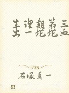 生理期第三天排出一坨坨血块