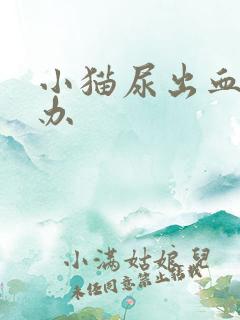 小猫尿出血怎么办