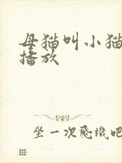 母猫叫小猫声音播放