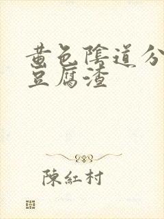 黄色阴道分泌物豆腐渣