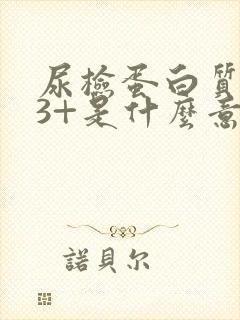 尿检蛋白质阳性3+是什么意思