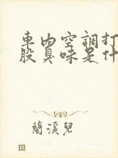 车内空调打开有股臭味是什么原因