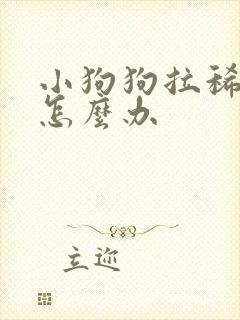 小狗狗拉稀带血怎么办