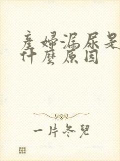 产妇漏尿是因为什么原因