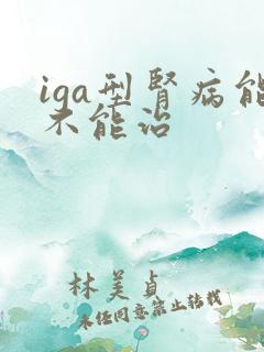 iga型肾病能不能治