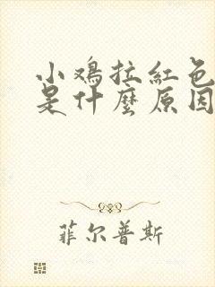 小鸡拉红色粪便是什么原因