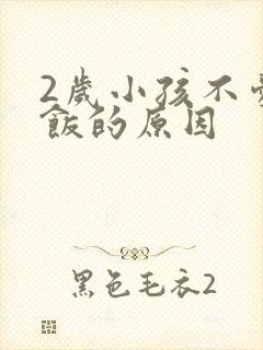 2岁小孩不爱吃饭的原因