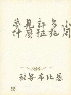 梦见许多小狗是什么征兆周公解梦