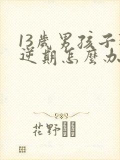 13岁男孩子叛逆期怎么办