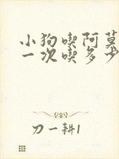 小狗吃阿莫西林一次吃多少