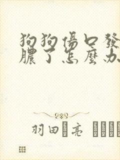 狗狗伤口发炎化脓了怎么办