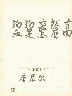 狗狗突然有点尿血是怎么回事