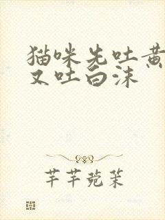 猫咪先吐黄水,又吐白沫