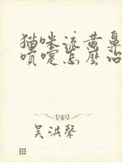 猫咪流黄鼻涕打喷嚏怎么治疗好