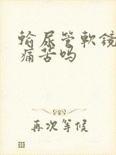 输尿管软镜取石痛苦吗