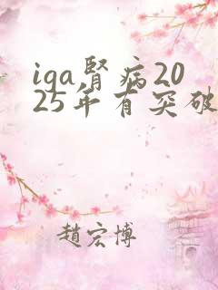 iga肾病2025年有突破吗