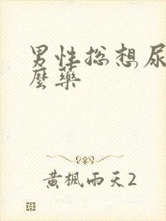 男性总想尿吃什么药