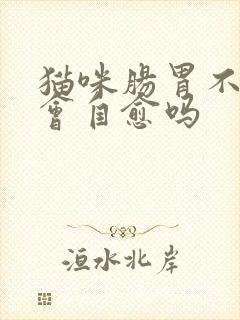 猫咪肠胃不舒服会自愈吗