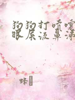 狗狗打喷嚏有脓眼屎流鼻涕