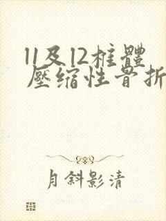 l1及l2椎体压缩性骨折