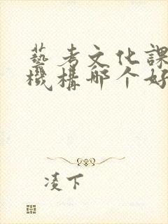 艺考文化课补习机构哪个好