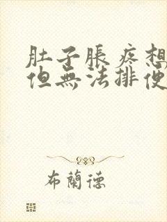 肚子胀疼想排便但无法排便