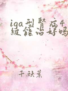 iga型肾病4级能治好吗