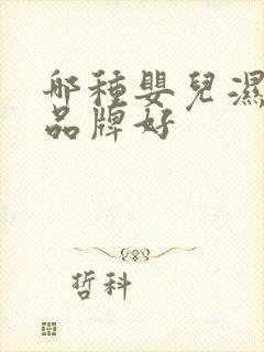 哪种婴儿湿纸巾品牌好