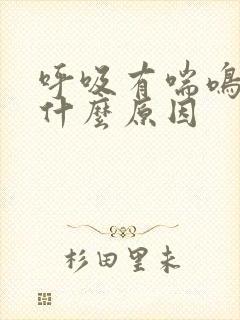 呼吸有喘鸣音是什么原因