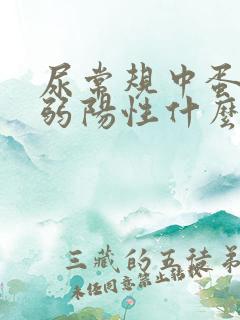 尿常规中蛋白质弱阳性什么意思