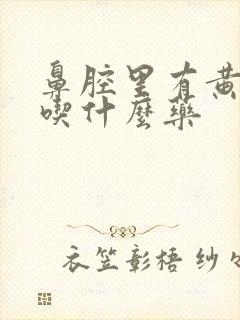 鼻腔里有黄鼻涕吃什么药