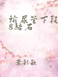 输尿管下段0.8结石